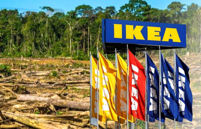 Ikea expande su negocio en Latinoamérica mientras crece la preocupación internacional sobre la deforestación en Brasil