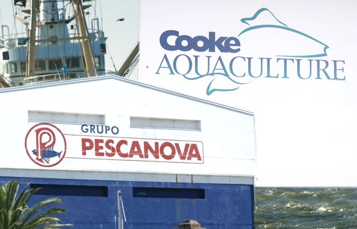 Cooke deja en veremos su oferta por Nueva Pescanova tras detectar problemas de liquidez en la empresa de Juan Carlos Escotet